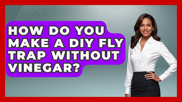 How Do You Make A DIY Fly Trap Without Vinegar? - Insects and Invaders