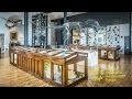 Lapworth museum of geology art fund museum of the year finalist