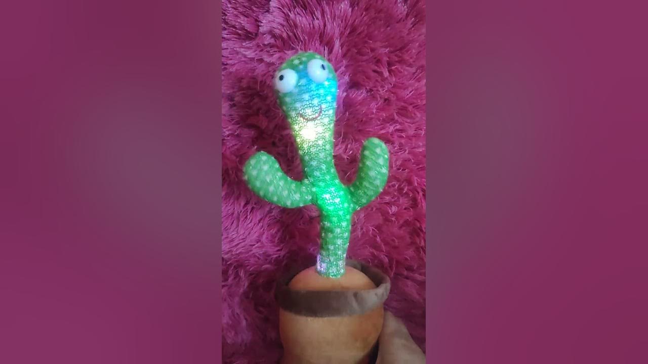 funny cactus ))веселый кактус)) - YouTube