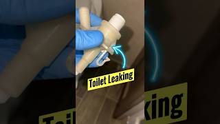 Toilet Valve Leaking after Freezing Temps