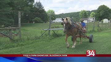 Food and Farm Showcase: Bloodnick