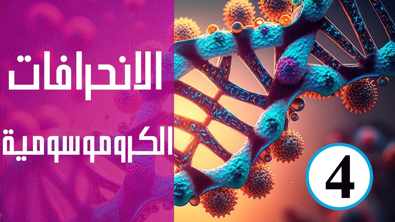 الانحرافات الكروموسومية | الحلقة الرابعة | كورس وراثة