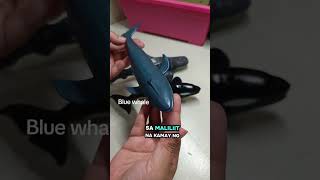 Simulation Sea Animals