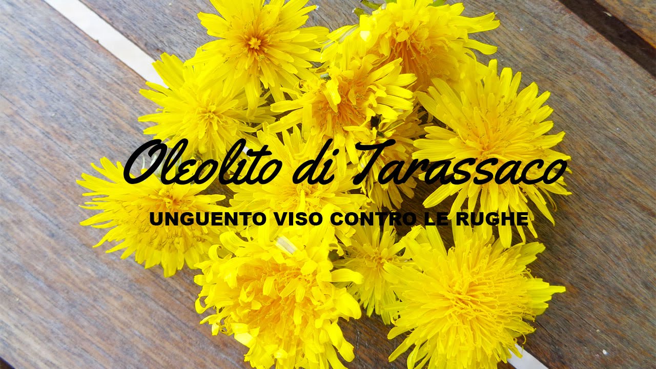 PELLE PERFETTA? Rughe Rimedi Naturali⎮Oleolito di Tarassaco + Unguento Spignatto Semplice!