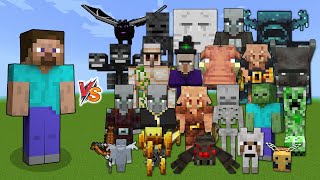 Steve vs All Mobs in Minecraft