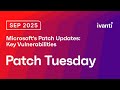 Microsoft's Patch Tuesday Updates: Key Vulnerabilities and Security Measures