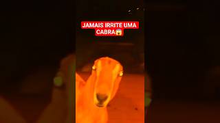 Não Subestime uma CABRA! #shorts
