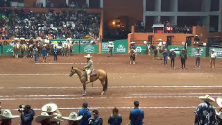 RANCHOLAROSA. CALA DEL CHARRO LEONARDO DAVILA#CRIADORES DE CABALLOS