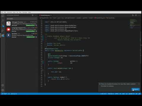vscode multiple formatters - YouTube