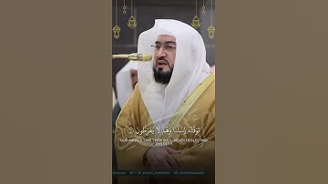 ما تيسر من سورة الأنعام | تلاوة فضيلة الشيخ د.#بندر_بليلة