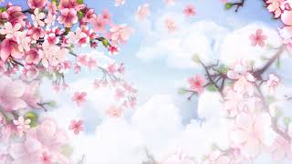 BACKGROUND HOA ĐÀO TẾT - FLOWERS SAKURA (4k free download)