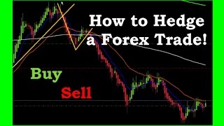 How to Hedge a Forex Trade