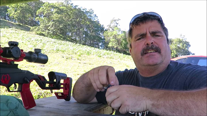 Ruger Precision Rimfire CCI and SK ammo shoot