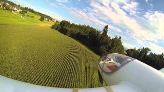 Segelflug Solius Multiplex