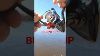 Carp 🔥 Drag Explosion! Pflueger President Reel Test 🔥🎣 #carpfishing #fishinglife #bigfish