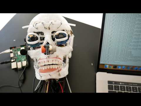 Robot Speech Testing - Humanoid Robot - Project Update (September)