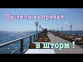 🐬 Лазаревское / Шторм / Набережная / Центральный причал