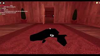 The seek Chase scene Guide-The Doors(Roblox) 