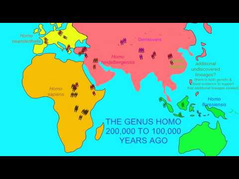 World Map 100000 Years Ago SPECIES OF Homo 200,000 to 100,000 YEARS AGO   YouTube