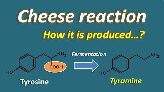 Cheese reaction - symptoms and interactions