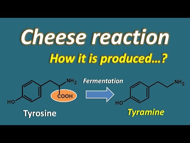 Cheese Reaction Medsphere