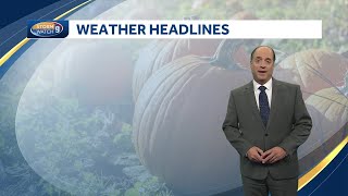 Video: Spring-like warmth continues