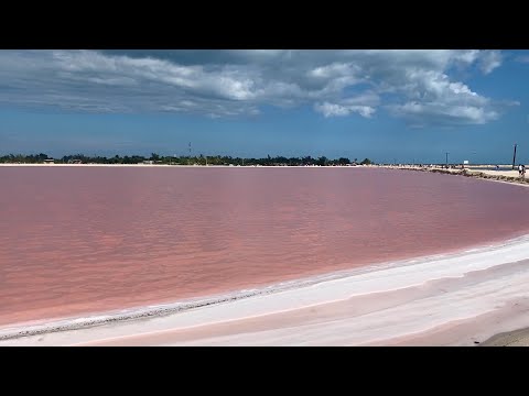 Video: Nu Atinge! Secretele Unui Lac Roz Care își Schimbă Culoarea - Vedere Alternativă