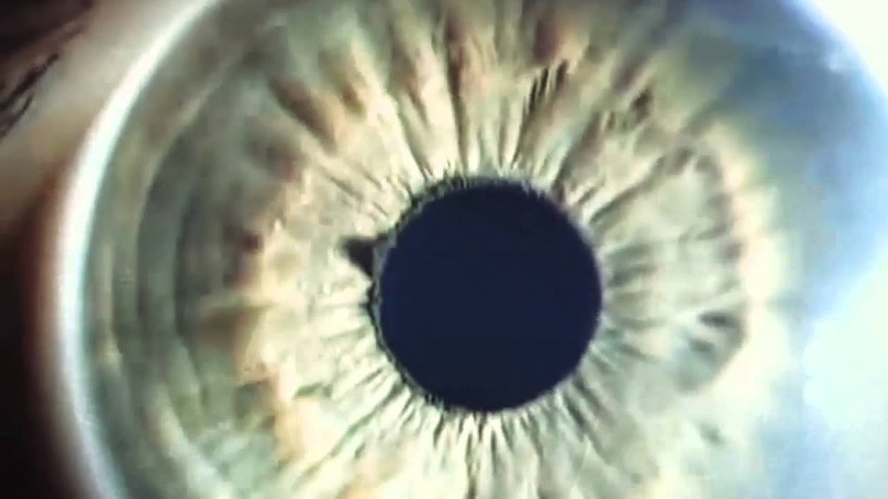 Guarda VEYU Everytime su YouTube Guarda VEYU Everytime su YouTube