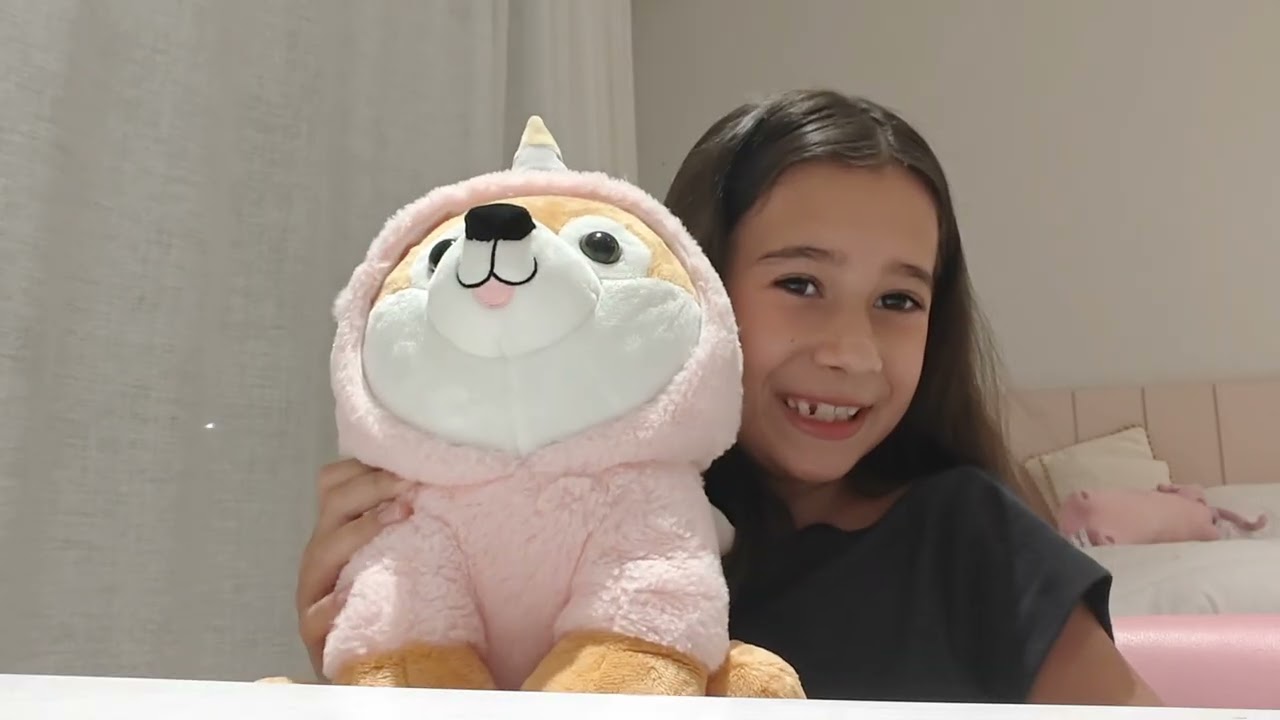 Cuidando de animais 🐶