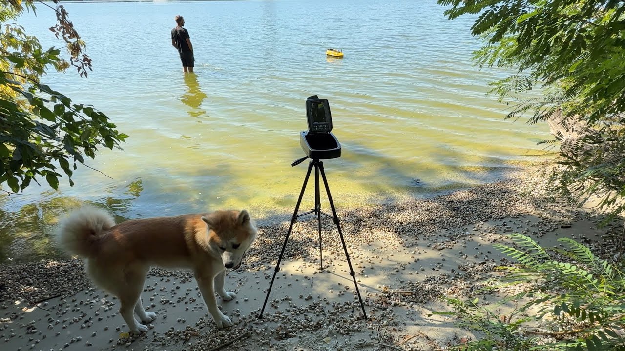 Поиск КАРПА. КОРАБЛИК с ЭХОЛОТОМ Toslon TF520