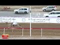 ش2 الشبابي لـ علي سلطان محمد علي الهاشمي مهرجان العين لسباقات الهجن 13 9 2025ص حقايق قعدان 2 46 10 
