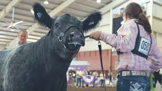 Wisconsin Fair Season 2017 by Nasco Farm & Ranch 384 views 4 years ago 3 minutes, 5 seconds