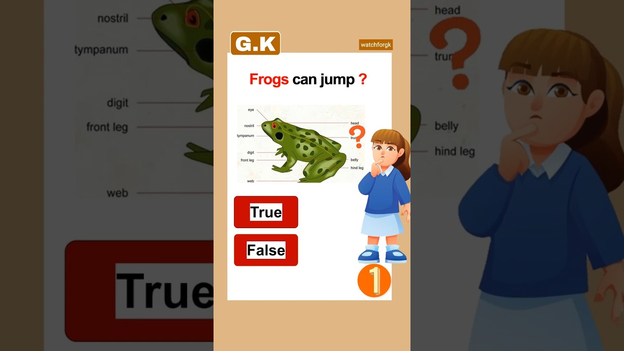 Scientific Myths You Still Believe 😱 