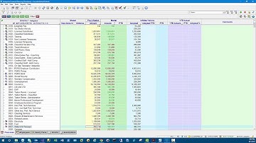 How to use Delta Columns