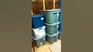 Attic Video Organize Plus