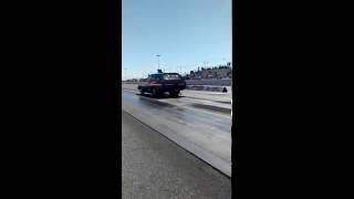 IMG 1345 IMG 1345