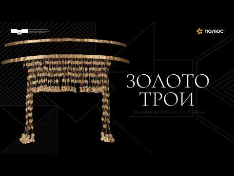 Научно-исследовательский проект «Золото Трои»