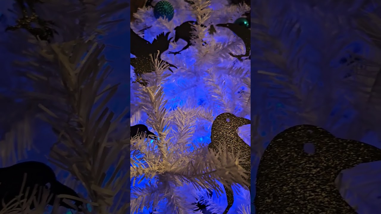 our white yule tree. Yuletide 