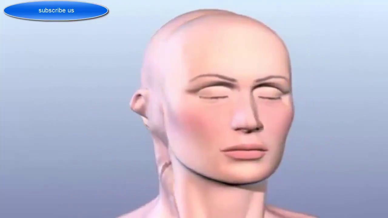 Deathless Humans, Latest Unbelievable Medication, Machine made Body ...