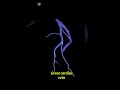 Great cardiac vein #anatomy #1millionviews #3danimation #viralvideo