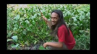 suara asli sound efek allahuakbar, jangkrik, jaran, asem tenan, haduhh #soundeffect #jangkrik #jaran