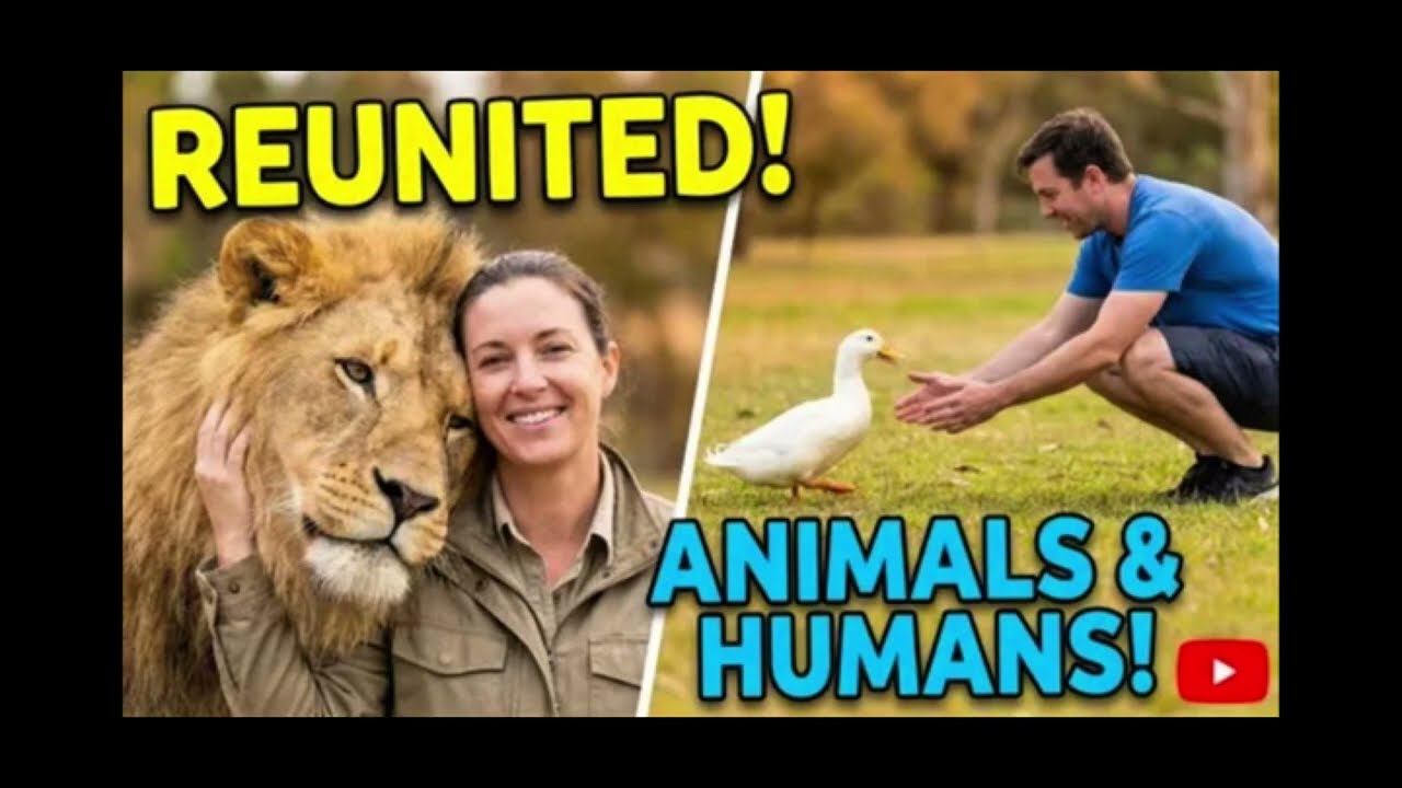 Heartwarming Moments Of Animals Reunited With Their Humans 