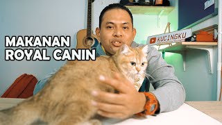 Review makanan ROYAL CANIN dari Kucingku