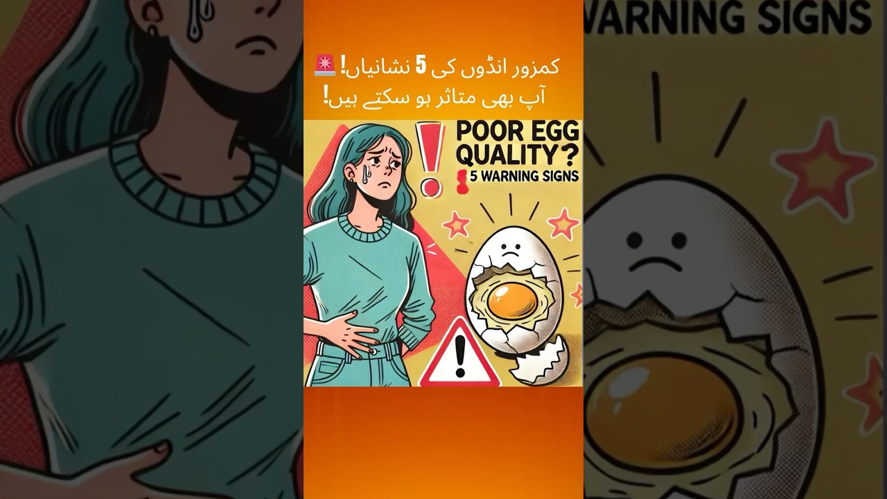 ⚠️5 Warning Signs Your Egg Quality is Poor! (Must Watch!) 