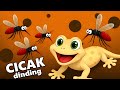 Cicak Cicak di Dinding 🦎 Lagu Anak Indonesia Terbaru | Animasi 3D Lucu & Edukatif