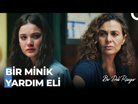 Benim Gidecek Bir Yerim Yok! - Bir Deli Rüzgar