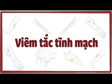 Video: Viêm Tĩnh Mạch Truyền Nhiễm ở Bò Sát