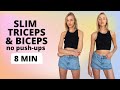 Slim and lean triceps  biceps no pushup arm workout  nina dapper