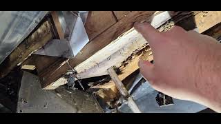 2020 Wolfpup 17Jg Water Damage Repair Part 3