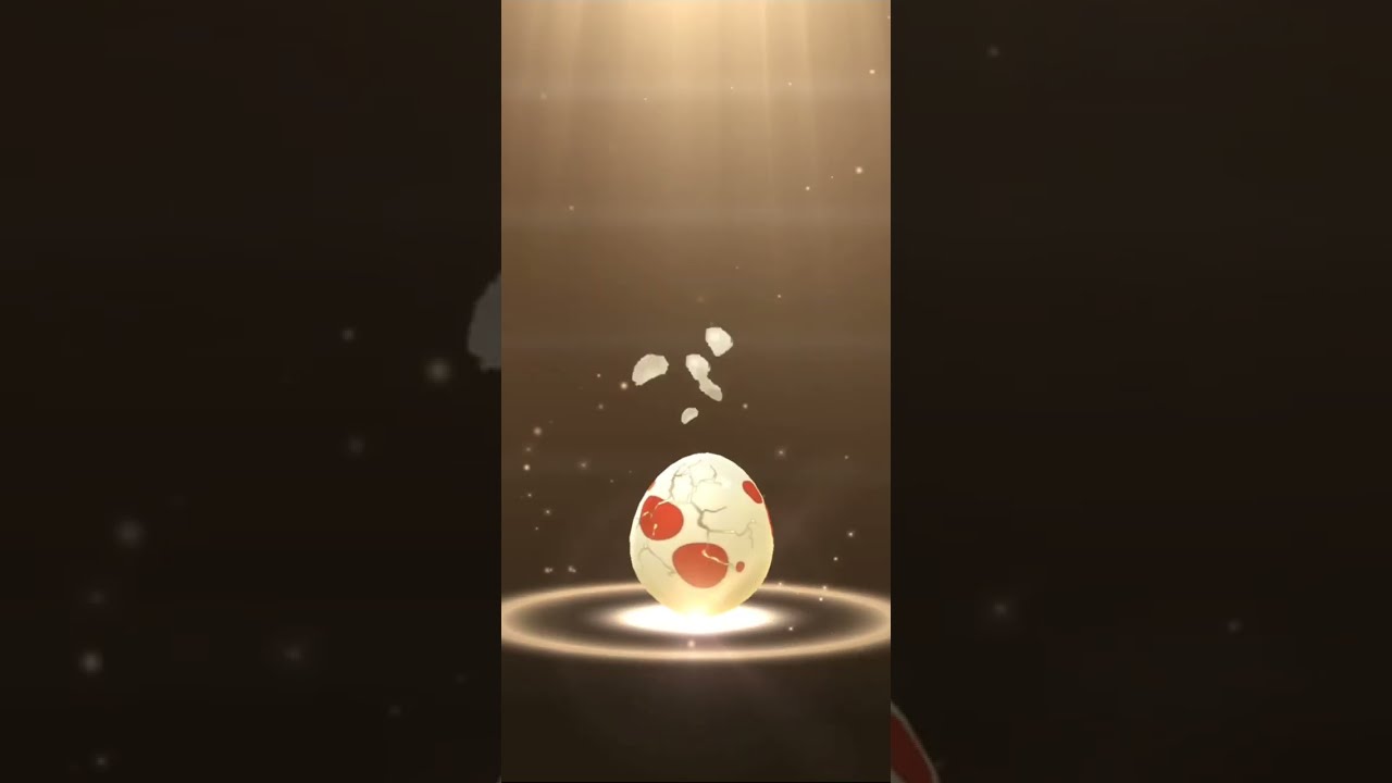 12X12 Km eggs! Can We get the elusive female Salandit ? 